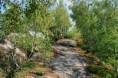 /album/broumovske-steny-turistika-foto/broumovske-steny-iv-jpg1/